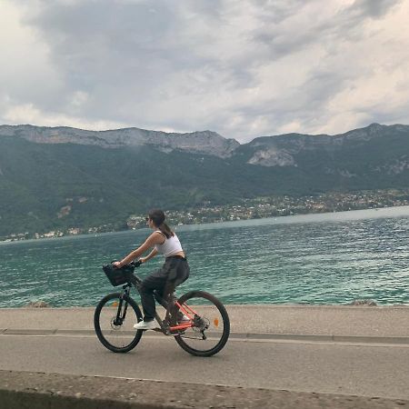 Petit Cocon Entre Lac, Golf Et Montagne, Proche D'Annecy 기즈 외부 사진