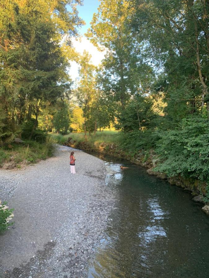 Petit Cocon Entre Lac, Golf Et Montagne, Proche D'Annecy 기즈 외부 사진